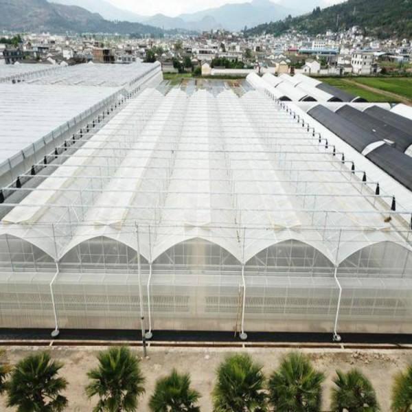 连栋薄膜温室